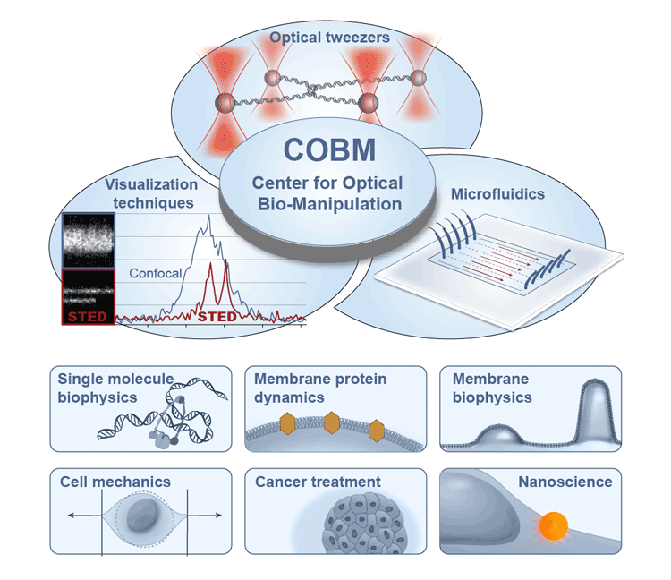 Center for Optical Bio-Manipulation